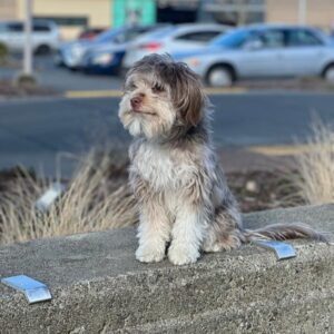 IMG_2746-SQ
